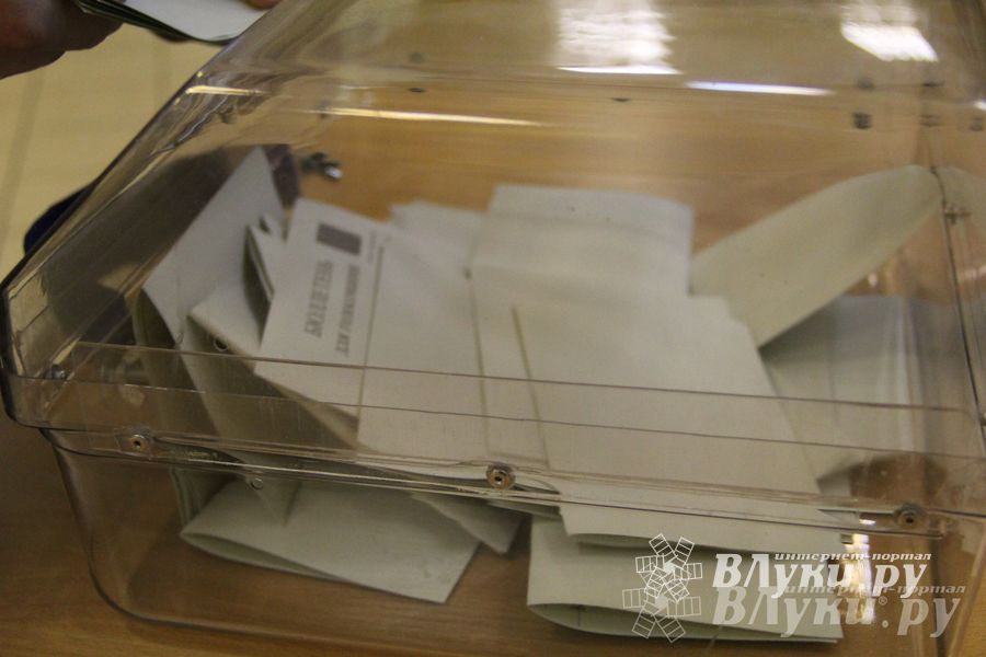 В Великих Луках прошла игра «Молодой политик» (фото)