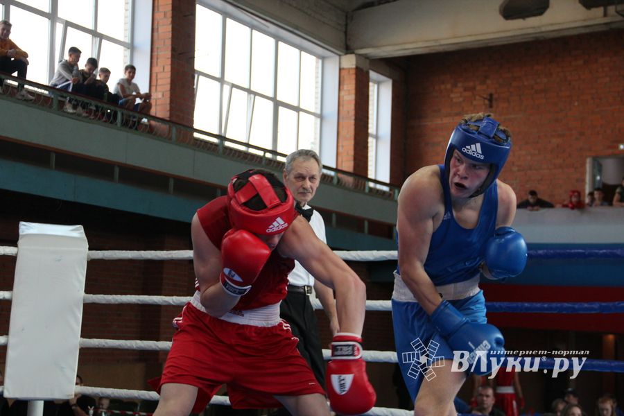 В Великих Луках прошел турнир по боксу памяти Е. Клевцова (ФОТО)