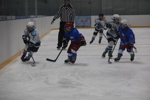 Детский турнир по хоккею прошел в Великих Луках (ФОТО)