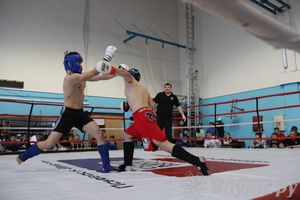 Открытый Кубок города Великие Луки по смешанному боевому единоборству (ММА)