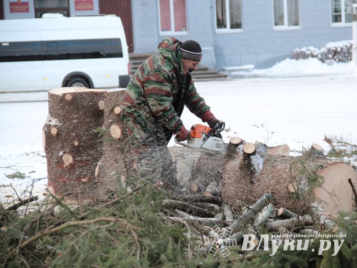 Главная городская ёлка отправилась на свалку (ФОТО)