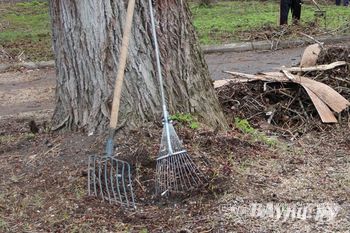 С 1 октября в Великих Луках начнется месячник по благоустройству