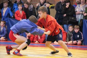 Открытый турнир по самбо «Новогодняя звезда-2019» прошел в Великих Луках (ФОТО)