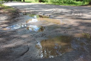 Великие Луки после дождичка в четверг (ФОТО)