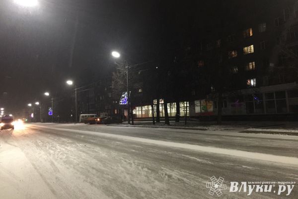Великолукские «белки» падают с уличных столбов (ФОТО)