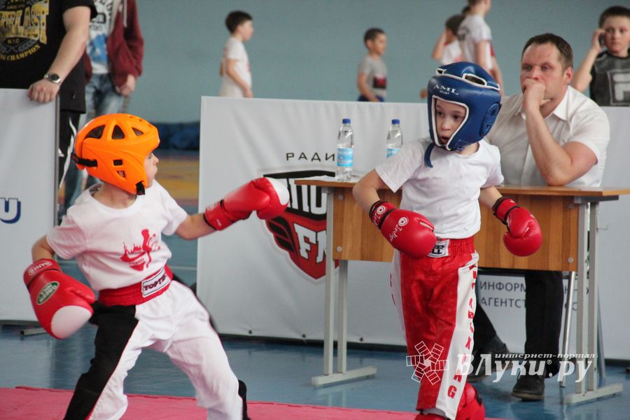 В Великих Луках прошел Кубок области по кикбоксингу (ФОТО)