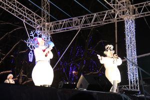 В Великих Луках зажглась новогодная ёлка (ФОТО)