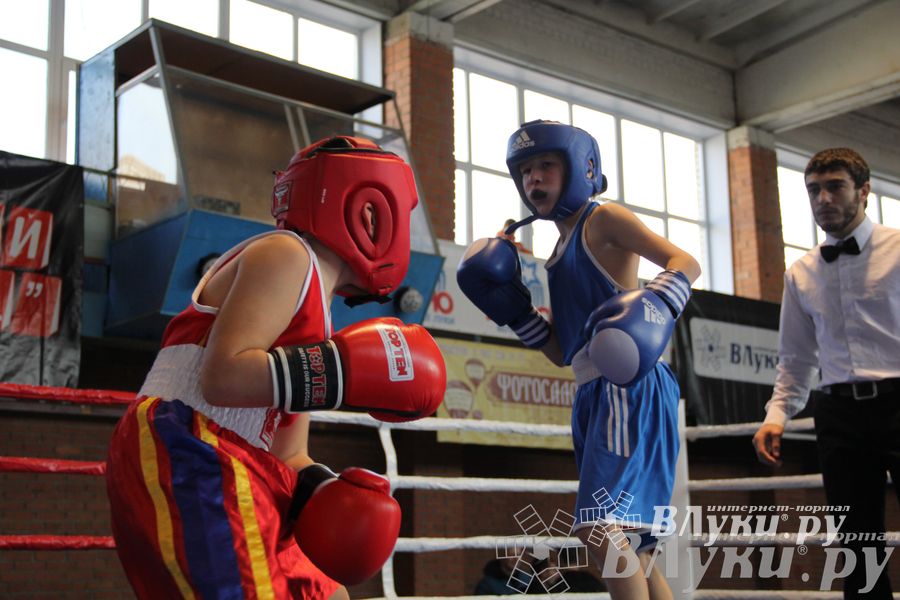 3-й день соревнований Международного турнира по боксу