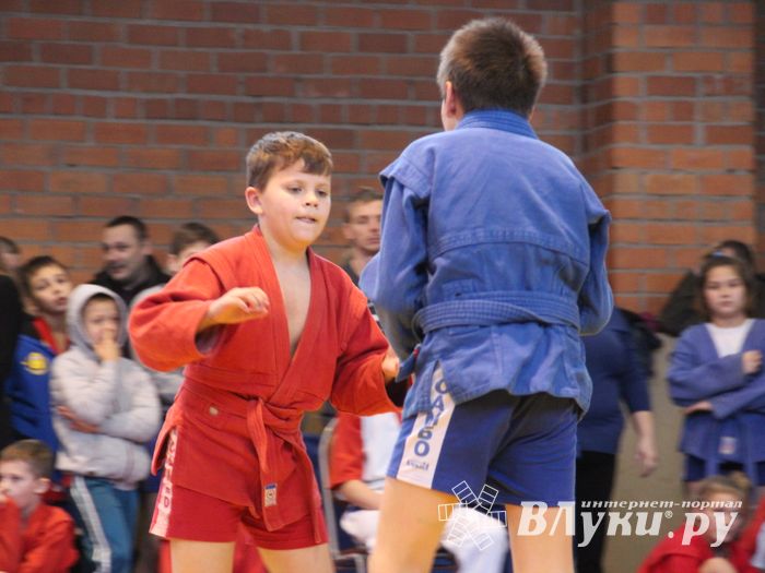 Открытый турнир по самбо «Новогодняя звезда-2019» прошел в Великих Луках (ФОТО)