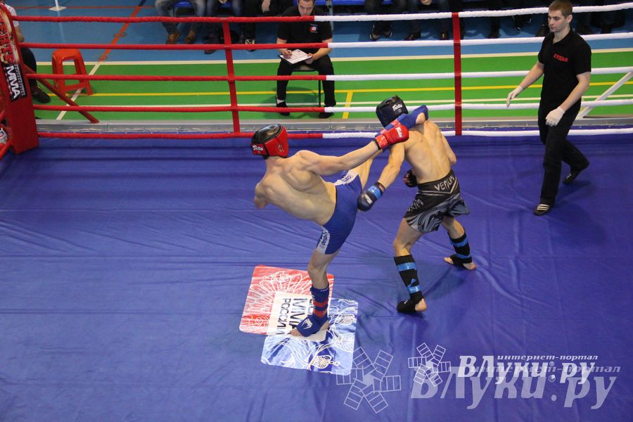 В Великих Луках прошел межрегиональный Открытый Кубок по смешанному боевому единоборству (фото)