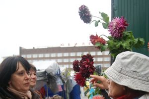 ​Универсальная торговая ярмарка «Осень – 2014» состоялась  в Великих Луках