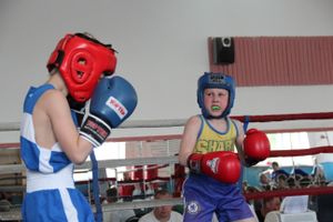 В Великих Луках прошло Первенство города по боксу (ФОТО)