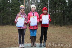 «Великолукский Марафон-2014» прошел в Сенчитском бору (фото)