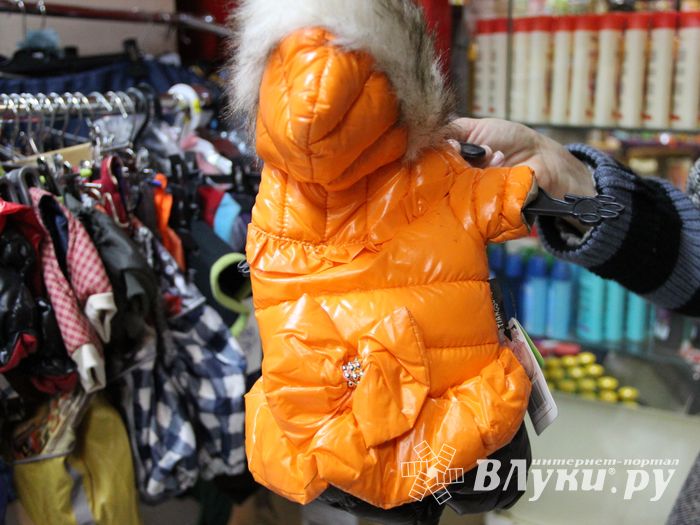 «Zooбастики»: подарите праздник своим любимцам! (ФОТО+ВИДЕО)