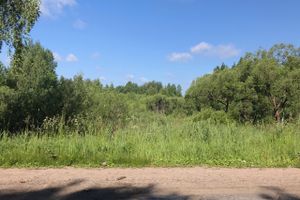 Трава у дома (ФОТО)