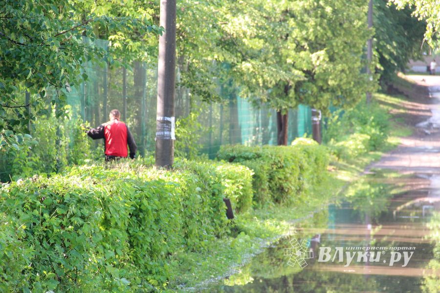 И плывем, и плаваем – Великие Луки после ливня (ФОТО)