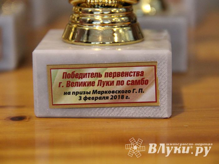 Церемония награждения открытого первенства города по самбо на призы мастера спорта СССР Марковского Геннадия Петровича (ФОТО)