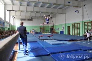В Великих Луках состоялось Первенство по командной гимнастике (фото)