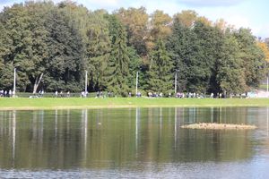 «Кросс Нации-2020» прошёл в Великих Луках (ФОТО)