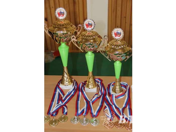 Великолучане одержали победу в зональном этапе «Папа, мама, я – спортивная семья» (ФОТО)