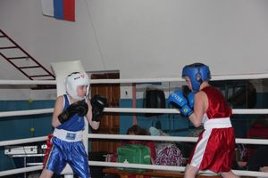 Открытое первенство по боксу прошло в Великих Луках (ФОТО)