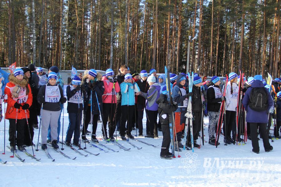 Всероссийская массовая лыжная гонка «Лыжня России 2015» состоялась в Великолукском районе (фото)