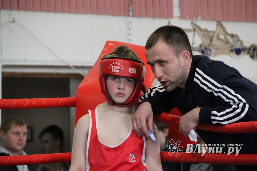 Юные великолучане выявили сильнейших боксёров (ФОТО)