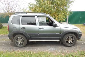 В Псковской области неизвестные расстреляли дачника (фото)