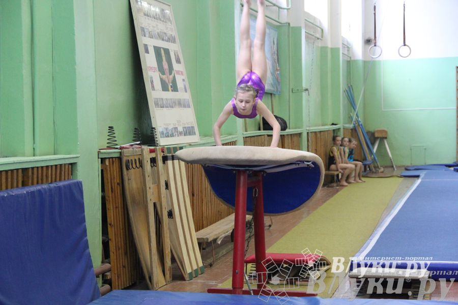 Открытый Кубок Псковской области по спортивной гимнастике