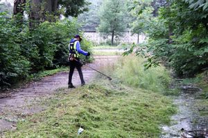 В Великих Луках косят (ФОТО)