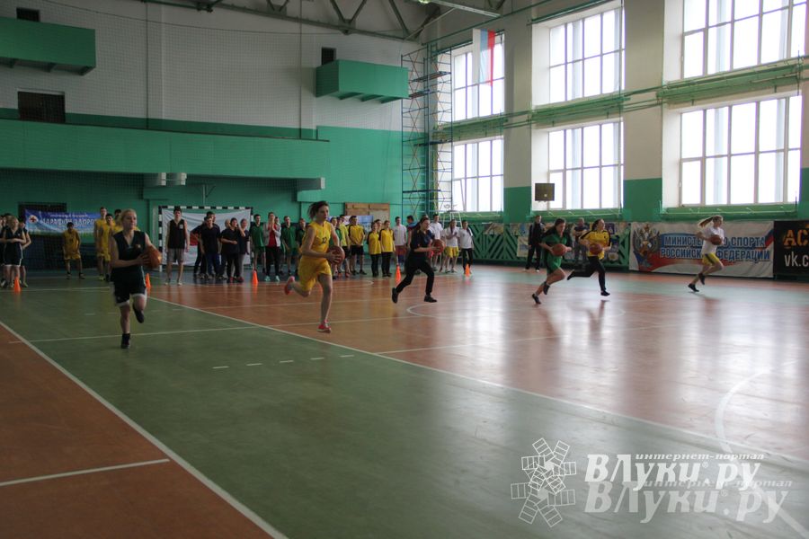 В Великих Луках прошли соревнования на Кубок Красного Креста