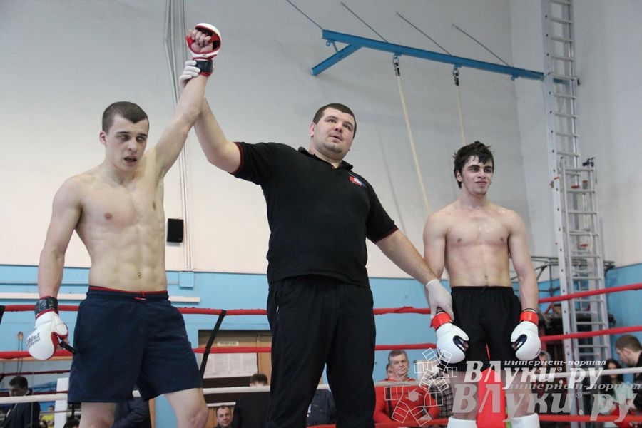 Открытый Кубок города Великие Луки по смешанному боевому единоборству (ММА)