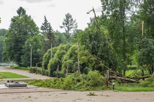 Небезразличные великолучане помогают убрать город после урагана (ФОТО)