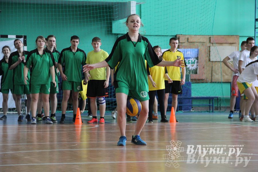 В Великих Луках прошли соревнования на Кубок Красного Креста