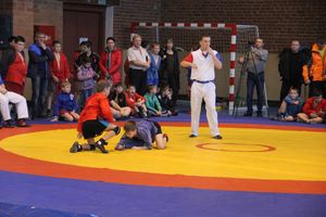 В Великих Луках прошел турнир по самбо "Память" (фото)