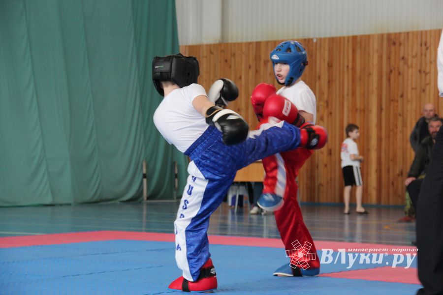 В Великих Луках проходит Кубок по кикбоксингу (ФОТО) (0+)