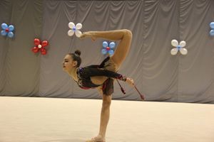 В Великих Луках прошли соревнования на Кубок Псковской области по художественной гимнастике (ФОТО)
