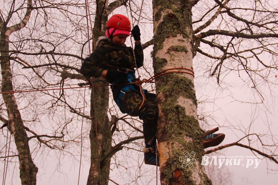 Заручелье