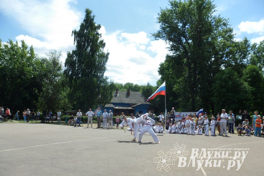В Великих Луках прошел Всероссийский олимпийский день (фото)