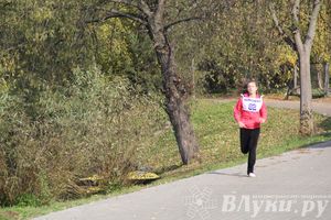 На о. Дятлинка прошел кросс среди обучающихся 8-х классов