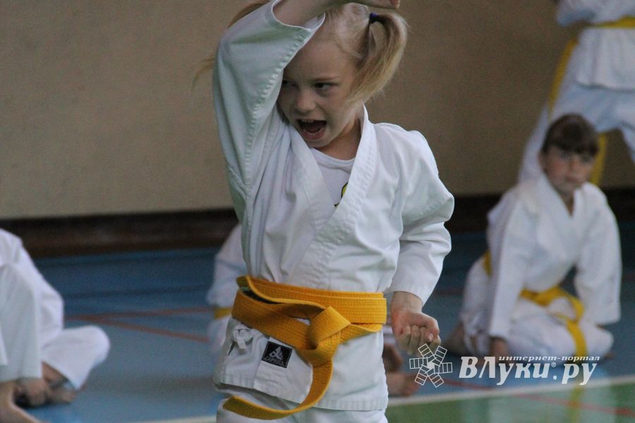 Турнир по каратэ