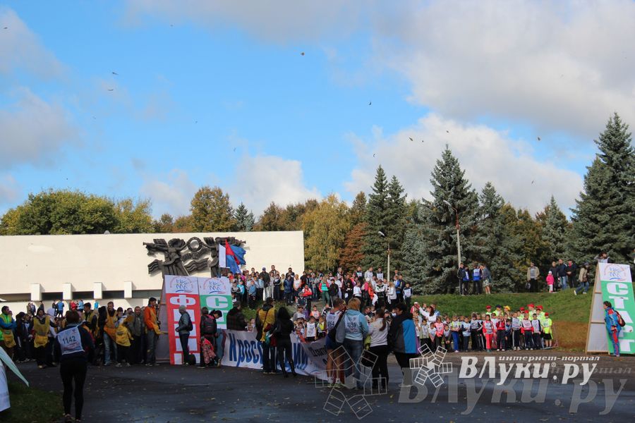 Кросс нации