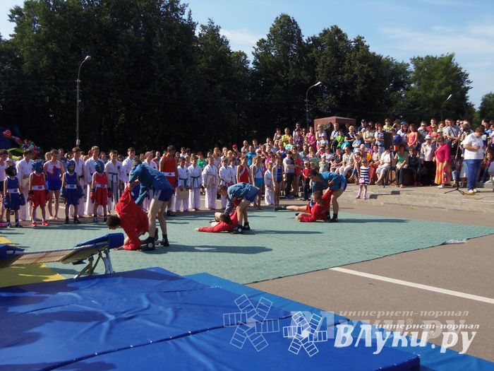 Спортивный фестиваль в День города