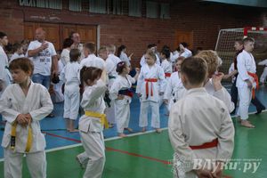 Великолучане стали победителями турнира по каратэ «Неприкосновенный запас, дети — Отчизны 2015» (фото)