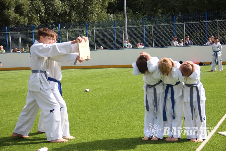 День спорта в День города: сила, мужество и грация (ФОТО)