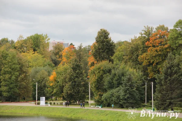 Сегодня в Великих Луках может быть небольшой дождь