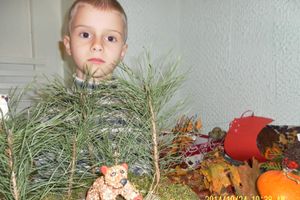 В детском саду №14 прошла выставка поделок «Дары леса» (фото)