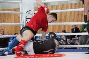 Открытый кубок по смешанному боевому единоборству ММА прошел в Великих Луках (ФОТО)