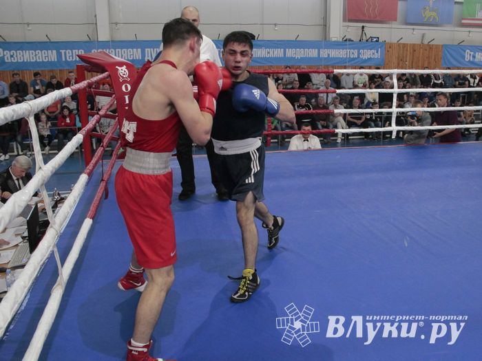 Матчевая встреча по боксу Великие Луки —Псков — Грозный (ФОТО)