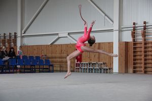В Великих Луках прошли соревнования по по художественной гимнастике (ФОТО)